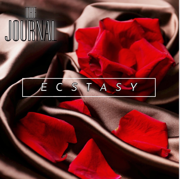 Journal Ecstasy Cover