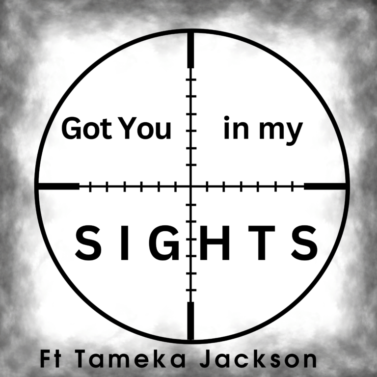 Got You in my sights artwork